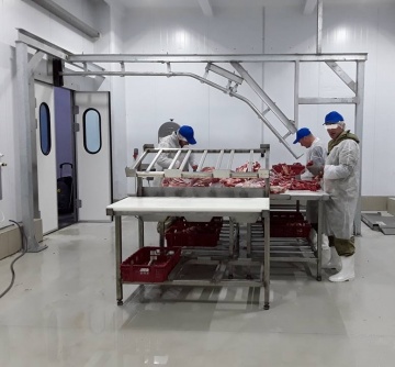 Exemplus usa de lucru spatiu procesare carne (flip-flap DF fara amortizoare)